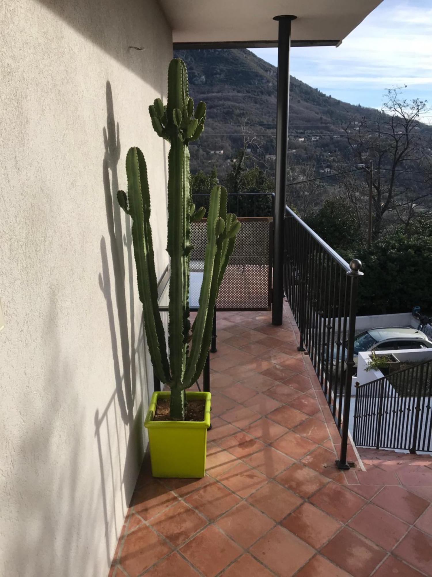 Haut De Villa Avec Vue - Le Bar Sur Loup 06 Exterior foto